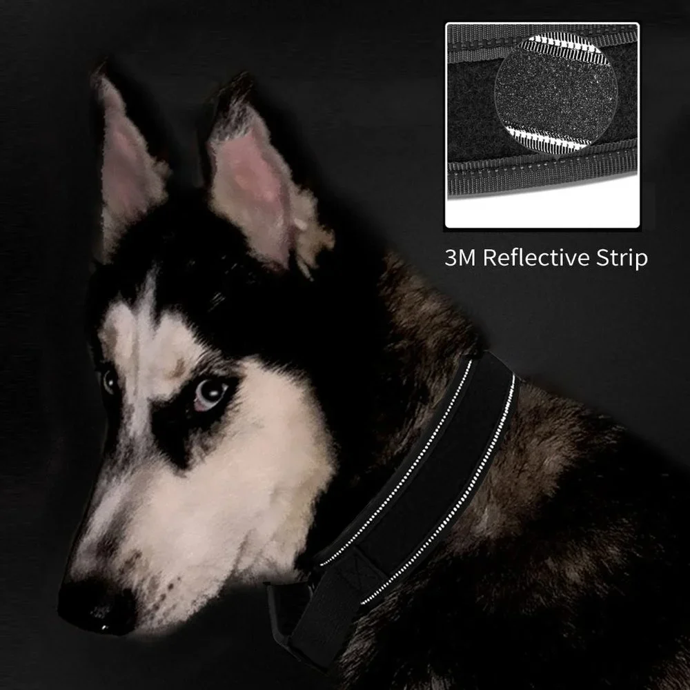 Size M SunteeLon Tactical Dog Collars Adjustable Thick Nylon Dog Collar with Ha…